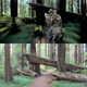 Image for article titled 36 years later, Return Of The Jedi's Tatooine and Endor filming locations remain mostly unchanged